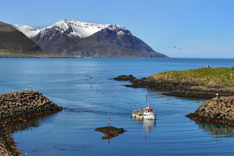 Borgarfjordur Eystri fjord, Iceland