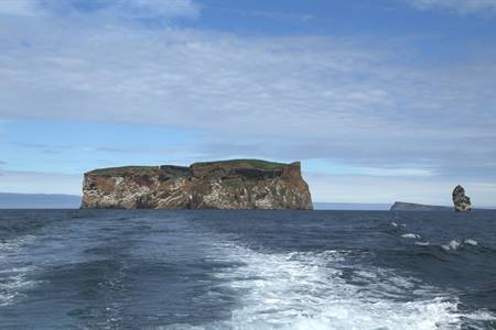 Drangey Island: The paradise in Iceland to spot puffins