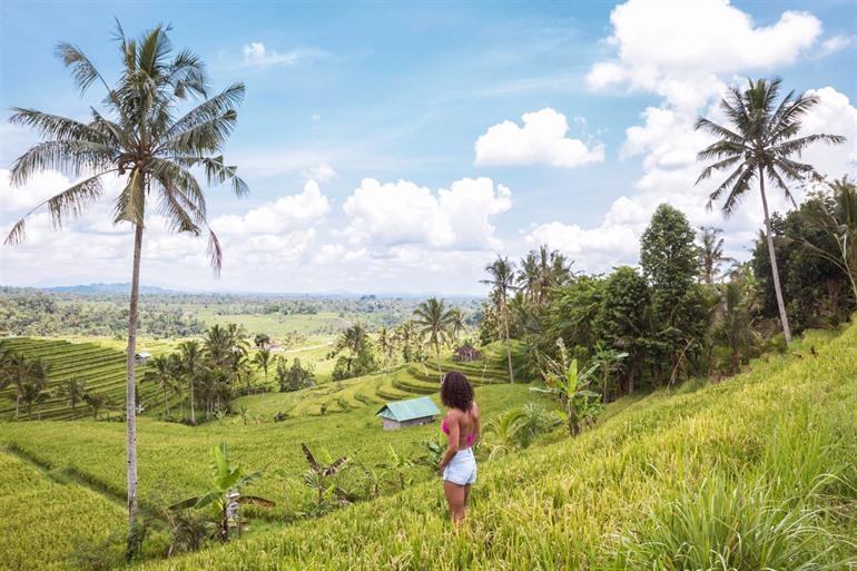 Jatiluwih rice fields