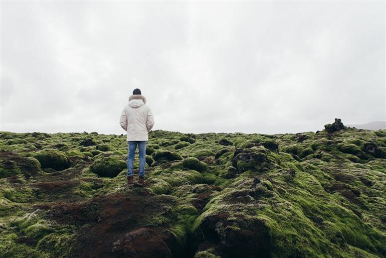 Lava fields of Eldhraun