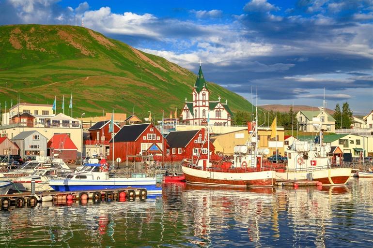 Whale watching in Husavik